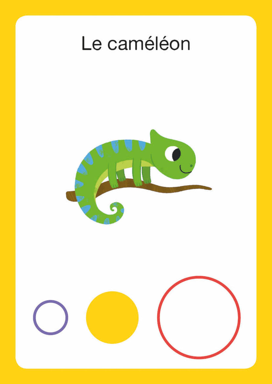 Mon Premier Jeu de Bataille - Animaux du Monde