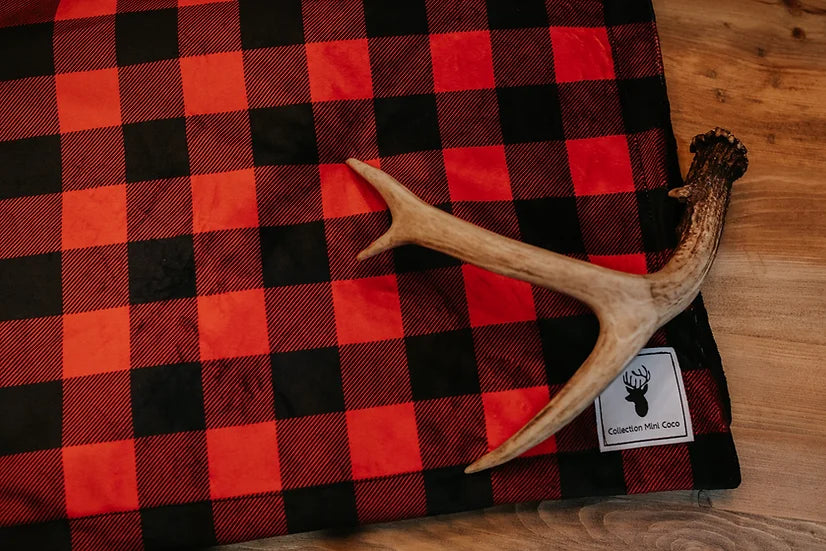 Minky Blanket - Red Plaid